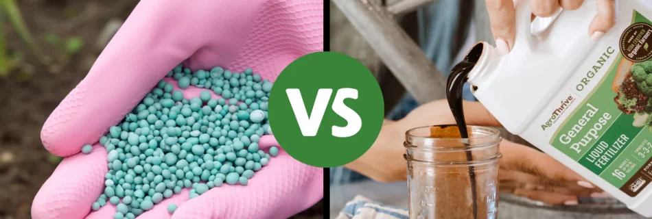 What Are the Differences Between Liquid and Granular NPK Fertilizers?